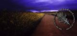 road