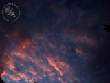 Sky 23
